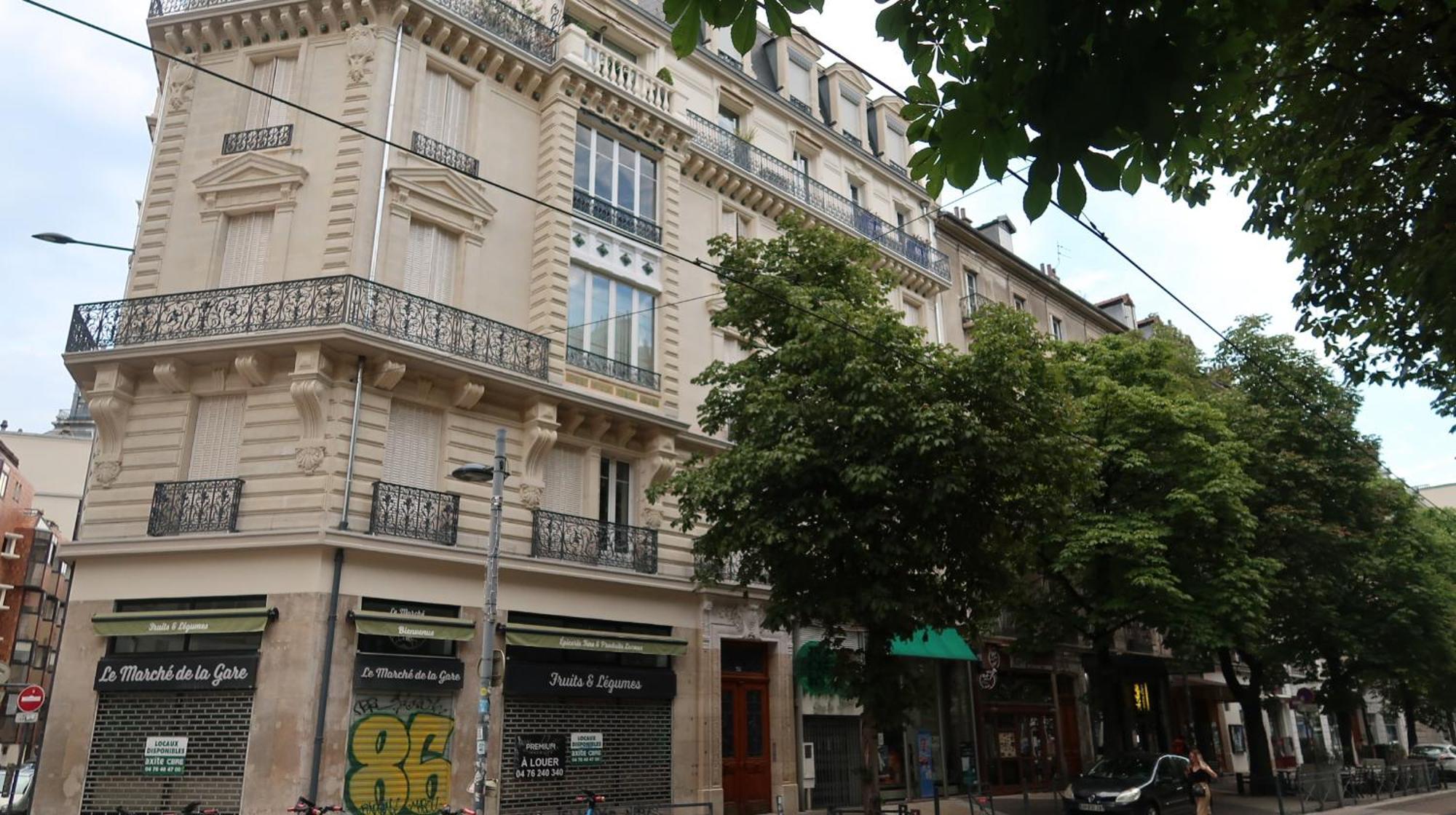 格勒诺布尔Tres Elegant Duplex, Proche Gare公寓 外观 照片